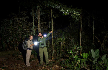 Ngaga Lodge - Kamba African Rainforest Experiences